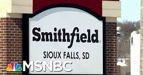 Smithfield Foods Closing Two Additional Midwest Plants | MTP Daily | MSNBC