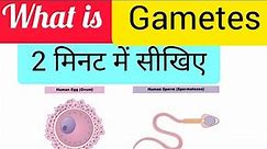 What is Gametes??