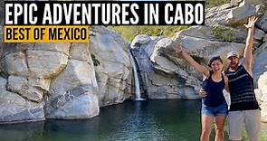Things To Do in CABO SAN LUCAS MEXICO (Camels, Flora Farms, Waterfall, Beaches & More)