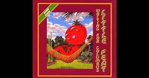 Tripe Face Boogie - Little Feat