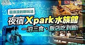 五星級「夜宿水族館」一泊三食吃到飽！Xpark × 和逸飯店新玩法搶訂
