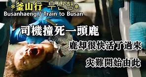 《釜山行》（부산행、Train to Busan,屍速列車（台）、屍殺列車（港）） 司機撞死一頭鹿，鹿卻很快活了過來，災難開始由此