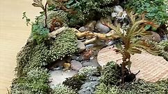 Creating The World's Tiniest Pond