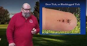 Tickology: Tick Identification and Ecology