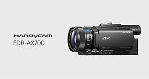 Product Feature - 4K HDR(HLG) | FDR-AX700 | Sony | Handycam®