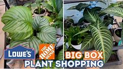 Plant Shopping at Lowe’s & Home Depot ! | Season 1: Episode 2