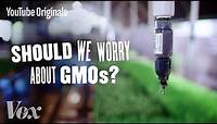 Should We Be Worried About GMOs? - Glad You Asked S1