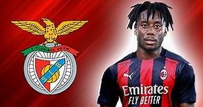 SOUALIHO MEITE | Welcome To Benfica | Fantastic Goals, Skills, Assists (HD)