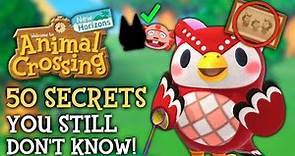 50 SECRETS You STILL Don't Know - Animal Crossing New Horizons
