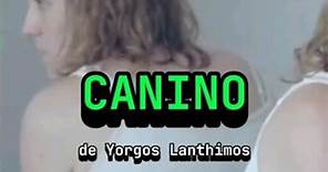 Canino, de Yorgos Lanthimos 📽🇬🇷 #cine #películas #canino #yorgoslanthimos #explicación #recomendado