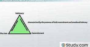 Sternberg's Triangular Theory of Love | Overview & Types
