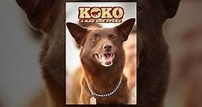 Koko: A Red Dog Story