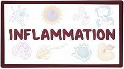 Inflammation - causes, symptoms, diagnosis, treatment, pathology