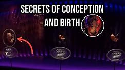 Secrets of Human Conception and the Miracle of Birth