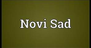 Novi Sad Meaning