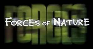 Forces of Nature (1999) "Theatrical Trailer"