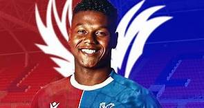 Matheus Franca ● Welcome to Crystal Palace 🇧🇷 Best Skills, Goals & Tackles