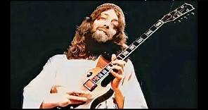 Steve Hillage ► The Glorious Om Riff ✤ BBC Radio 1 Live in Concert 1979 [HQ Audio]