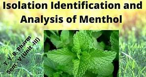 Isolation Identification and Analysis of Menthol/ Mentha oil (Pharmacognosy)