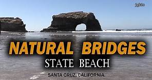 Natural Bridges State Park - Santa Cruz, CA