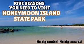 Top Five Reasons to visit Honeymoon Island State Park Beach
