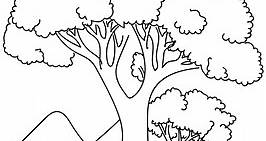 Top 25 Tree Coloring Pages For Your Little Ones