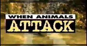 When Animals Attack (1996)