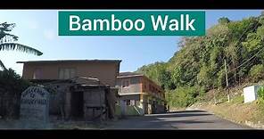 Bamboo Walk, Retreat, St Mary, Jamaica