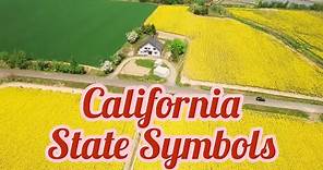 11 California State Symbols