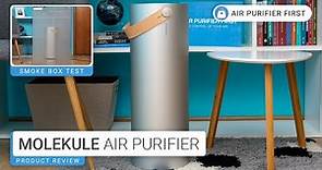 Molekule Air Purifier: Is It Any Good? Trusted Review (Performance and Smoke Test)