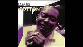 Soul Survivor , James Cotton