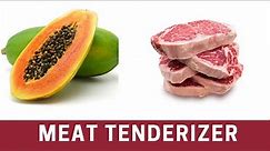 How to Use Papaya to Tenderize Meat | The Frugal Chef