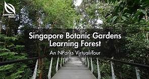 Singapore Botanic Gardens Learning Forest | An NParks Virtual Tour