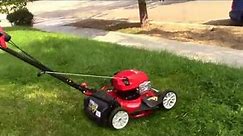 New Lawn Mower unboxing and First Start