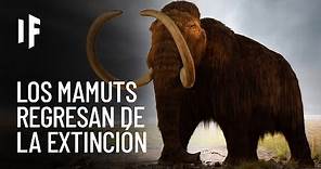 ¿Qué pasaría si los mamuts nunca se hubieran extinguido?