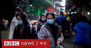 世界衛生組織：這可能是發現新冠病毒源頭的「最後機會」－ BBC News 中文