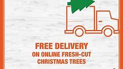 Fresh-Cut Christmas Trees | Order from our online selection of fresh-cut Christmas trees and we’ll deliver, free. | By The Home Depot
