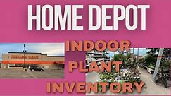 February Home Depot Indoor Plant Inventory Flint Michigan
