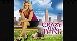 04_Crazy Little Thing (2002) fotos