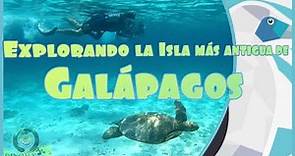 Galápagos Española island..!¡! increíble aventura y snorkeling 🤿💙🐠🐟