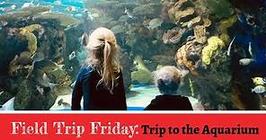 Field Trip Friday | Trip to the Aquarium | Ripley's Aquarium Toronto | Raising A to Z