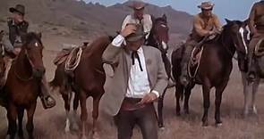 Stranger on the Run (1967) Henry Fonda; Anne Baxter; Dan Duryea