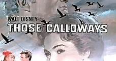 La familia Calloway (1965) Online - Película Completa en Español - FULLTV