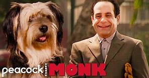 Best Moments of Monk and The Dog | Monk
