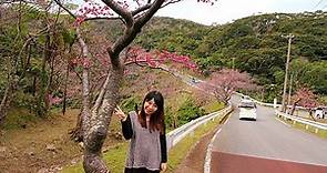 【沖繩景點】八重岳櫻之森公園：全日本最早開的櫻花勝地，風景宜人！ @ 小桃媽-賴玉珊心理師的親子生活 :: 痞客邦 ::