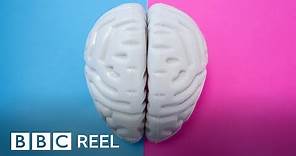 Are male and female brains different? - BBC REEL