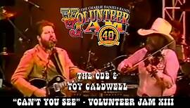 Can't You See - Toy Caldwell and The Charlie Daniels Band - Volunteer Jam XIII