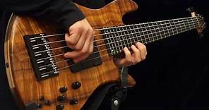 6 String Bass Solo