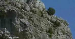 golden-eagle-drags-goats-off-cliff