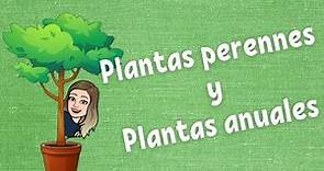 Plantas perennes y plantas anuales